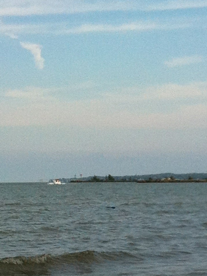 Catawba West Harbor Yacht Club, 3058 N Carolina St, Port Clinton, OH