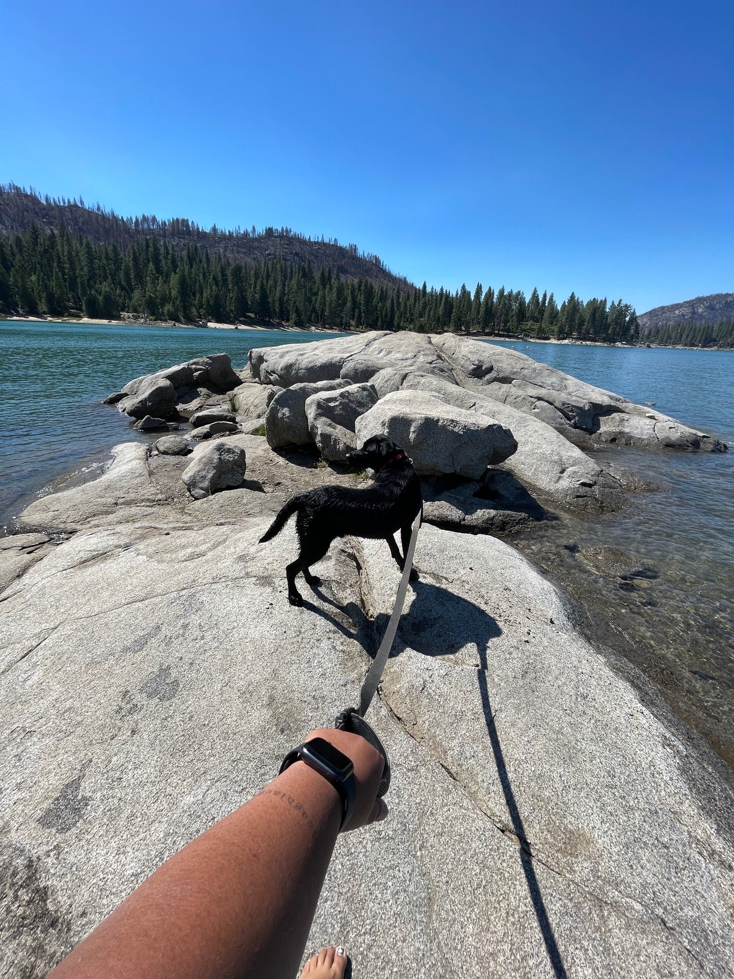 Shaver Lake Beach Front, Auberry, CA, Lake MapQuest
