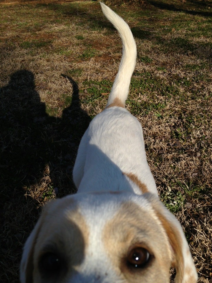 Mill Creek Dog Park, Balch Rd, Madison, AL MapQuest