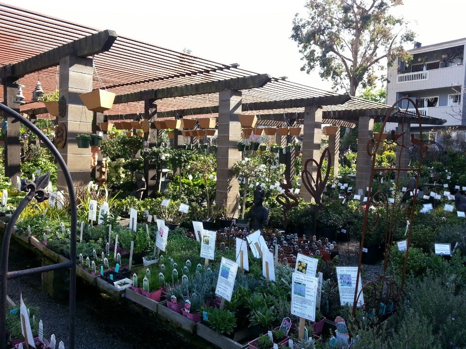 City Nursery