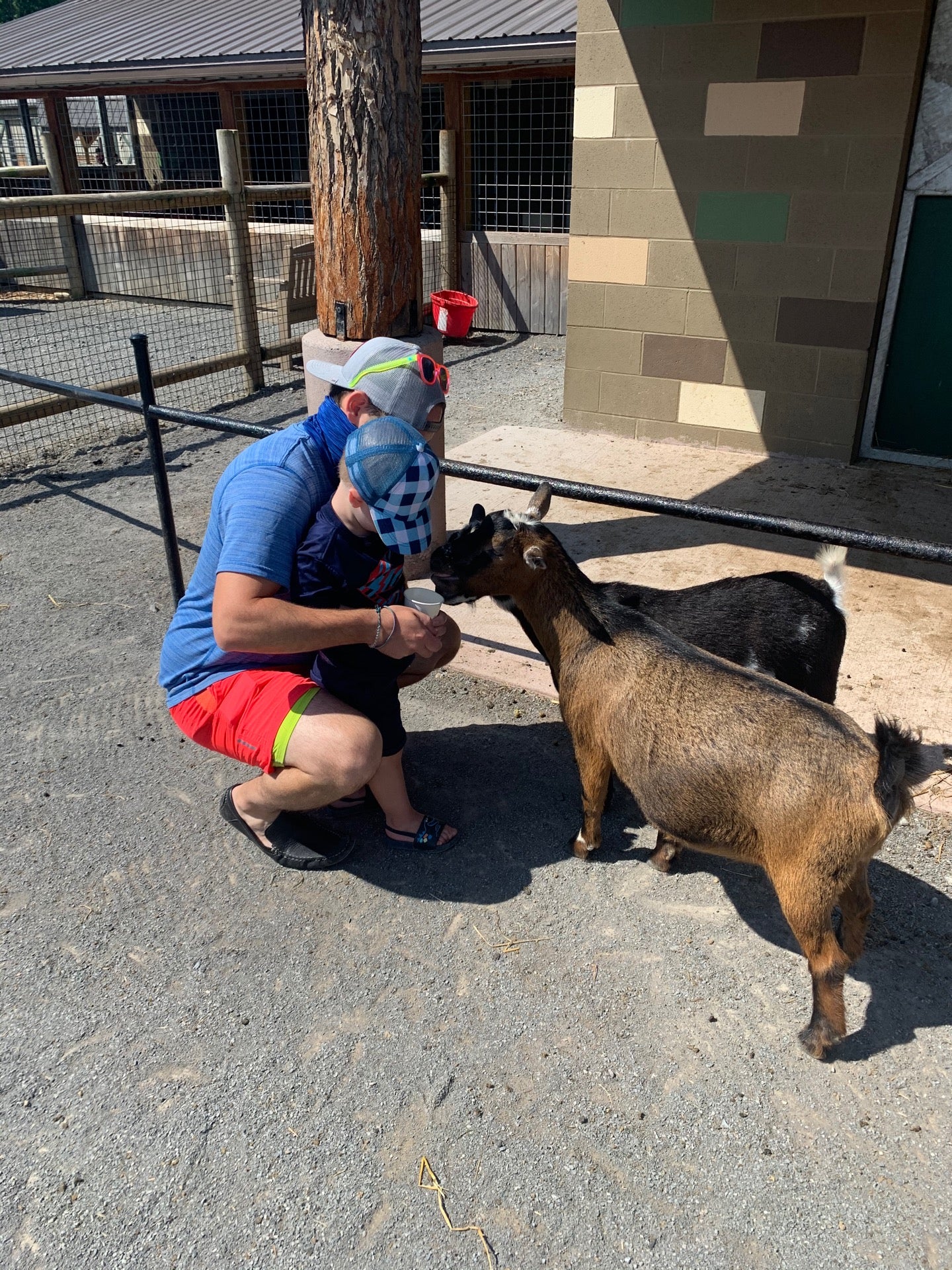 Keystone Safari, 2284 Mercer Butler Pike, Liberty Twp, PA MapQuest