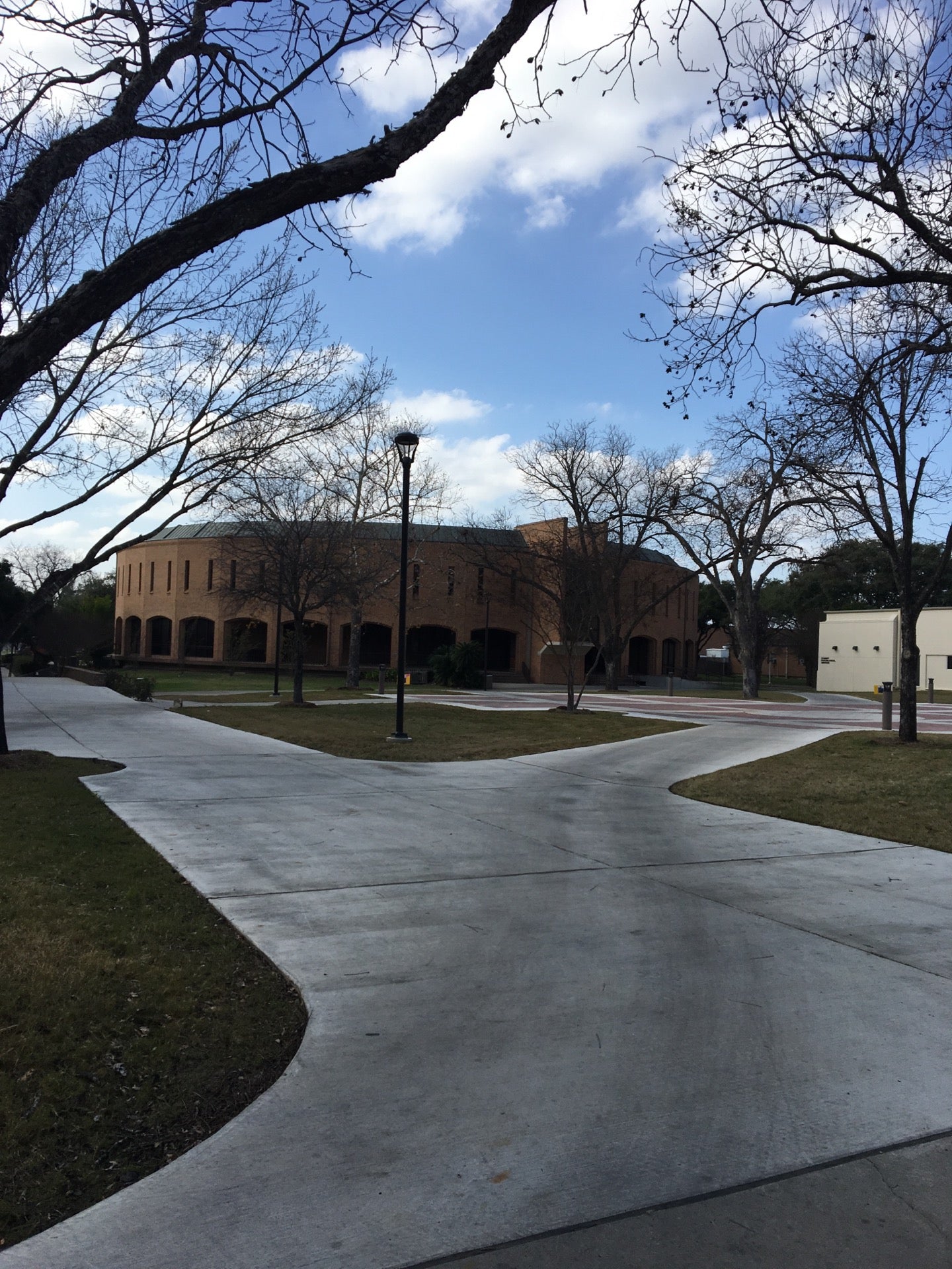 St Mary's University School Of Law, 1 Camino Santa Maria St, San