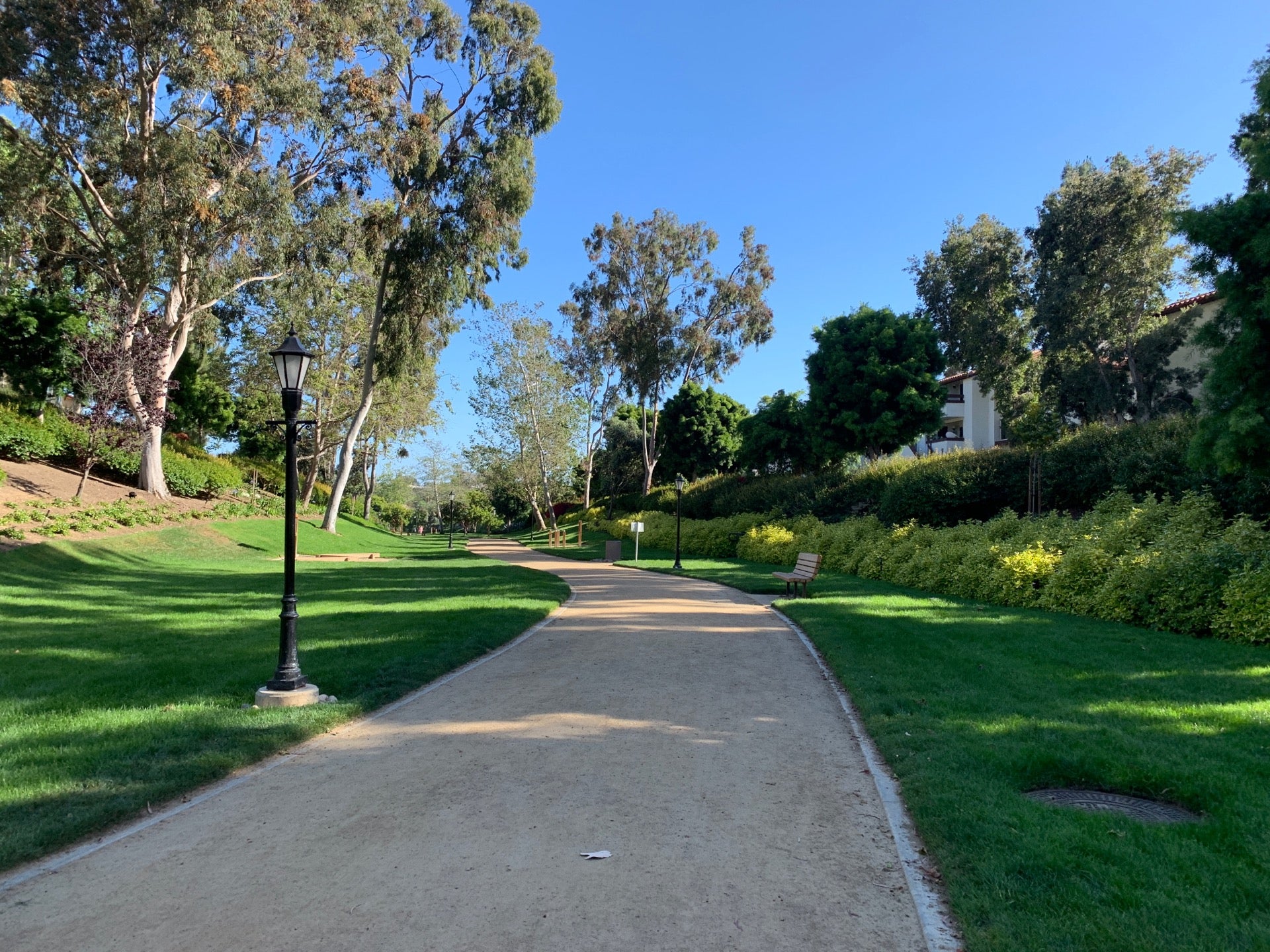 La Jolla Colony Dog Park