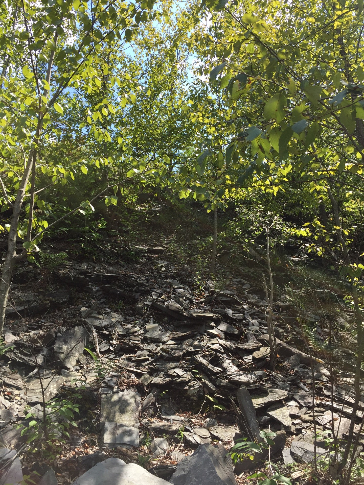Trout Run Covered Bridge Slate Heritage Trail, 7th St, Slatington, PA