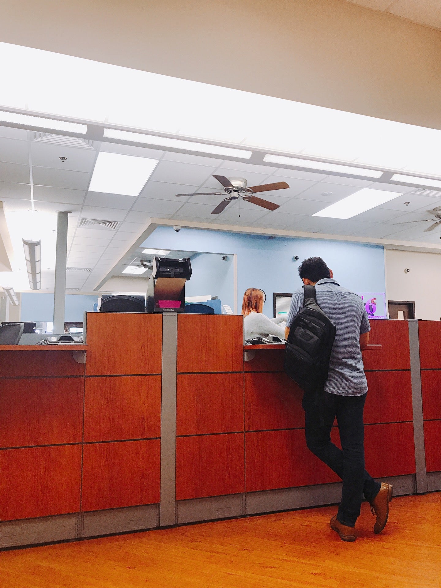 Orange County Tax Collector Winter Garden Flsetting - hdpcaoe