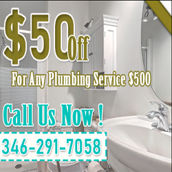 Sugar Land Plumbers – Clogged Toilets