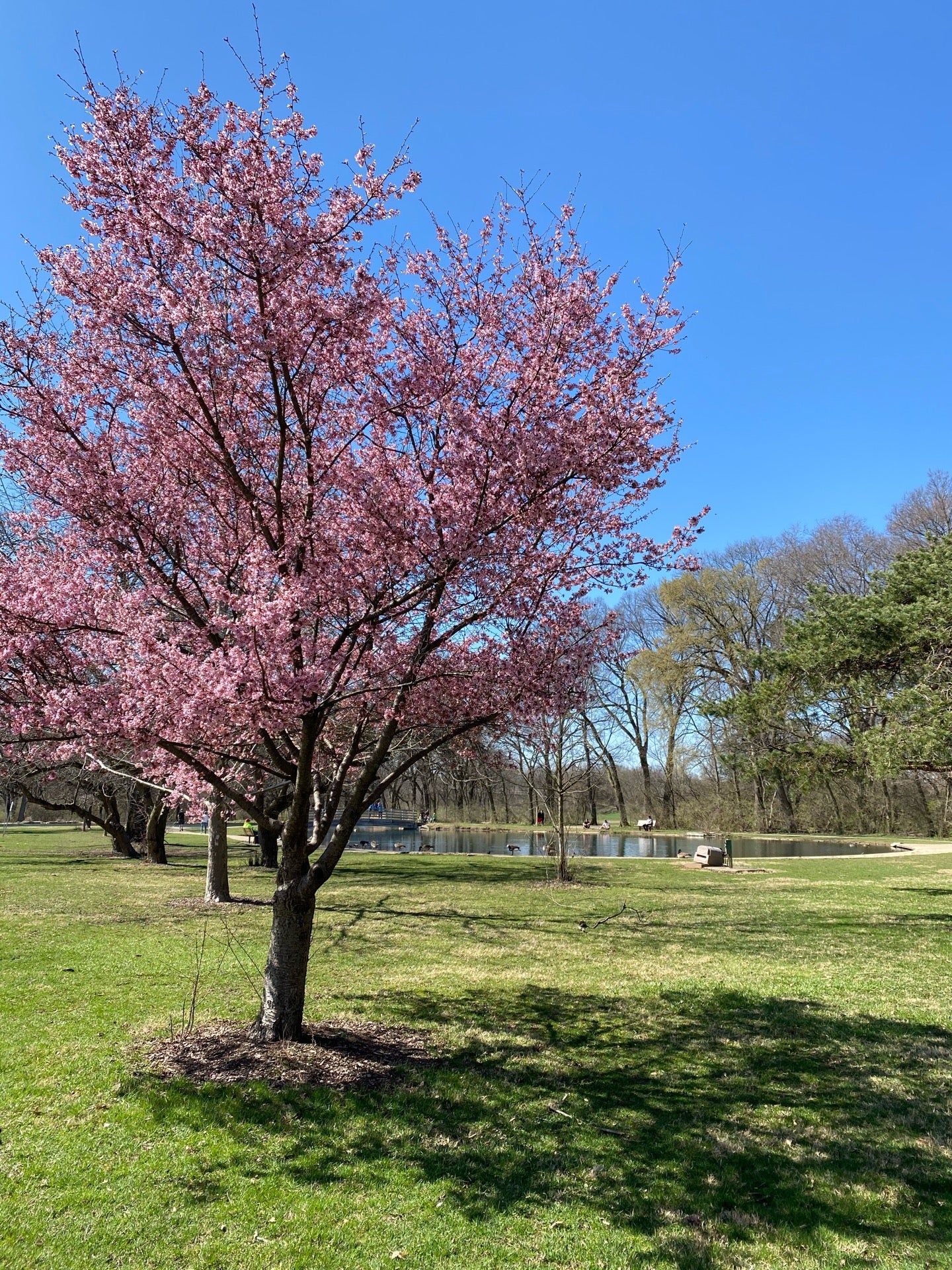 Whetstone Park Casting Pond, Columbus, OH - MapQuest