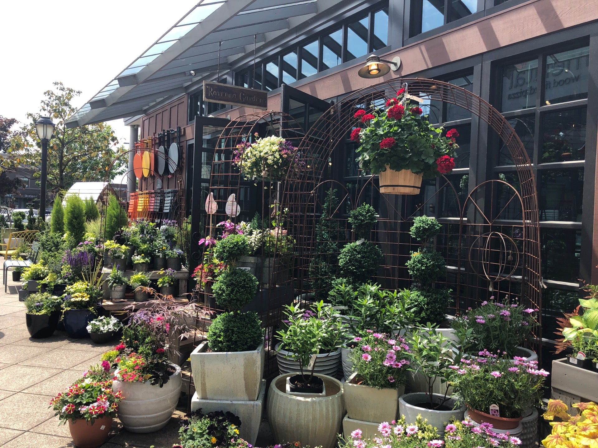 Ravenala - Rossatto Garden Center