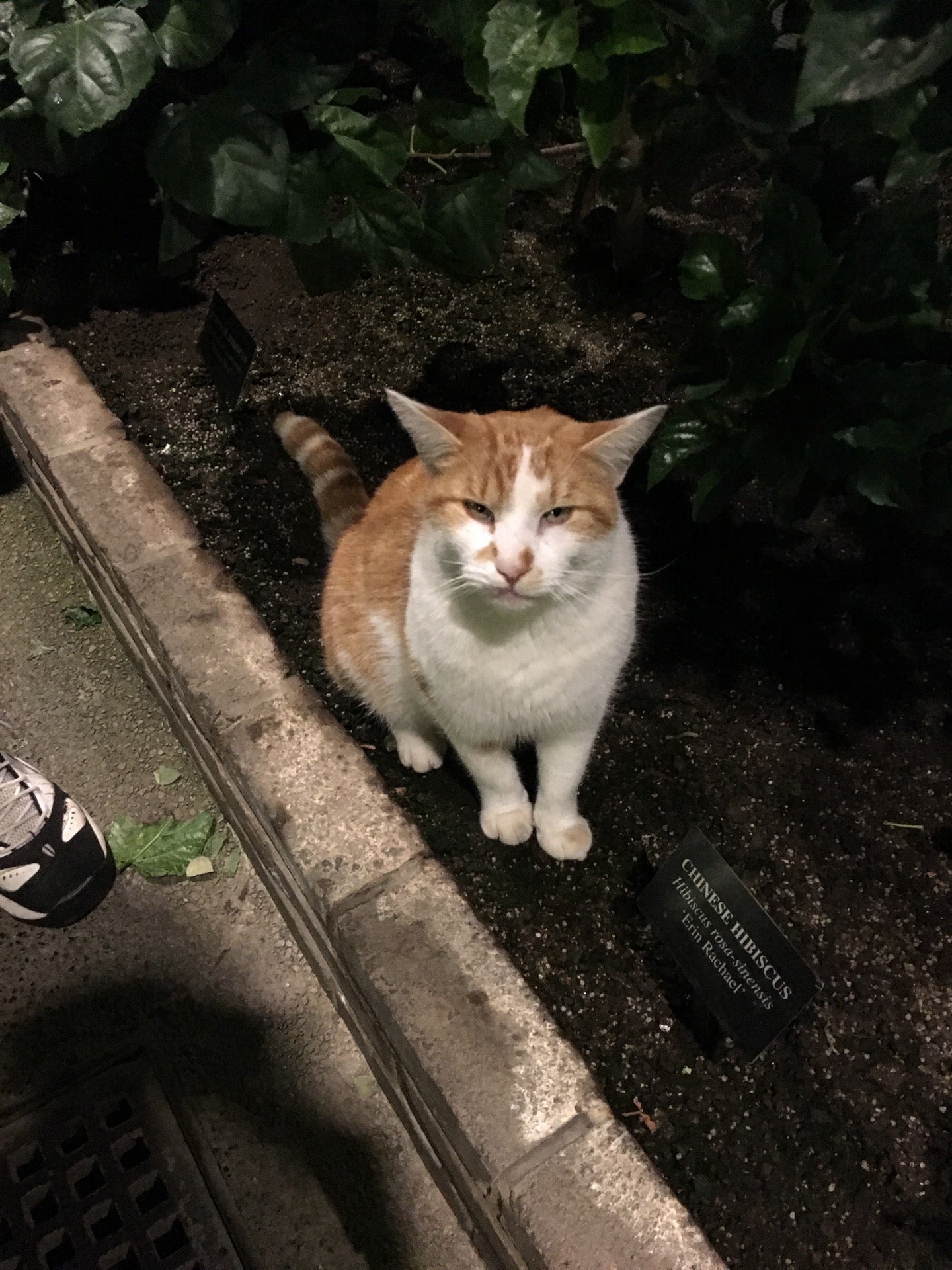 Rose Garden, 1001 Longwood Rd, Square, PA, Gardens MapQuest