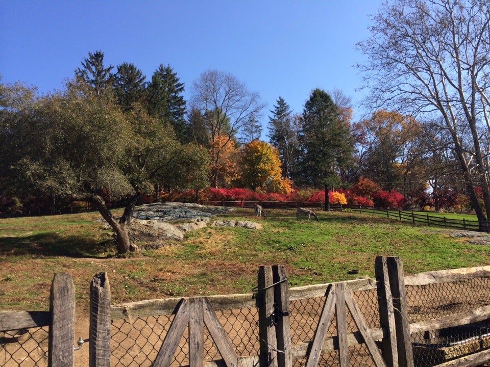 Steinhardt Gardens Bedford New York | Fasci Garden