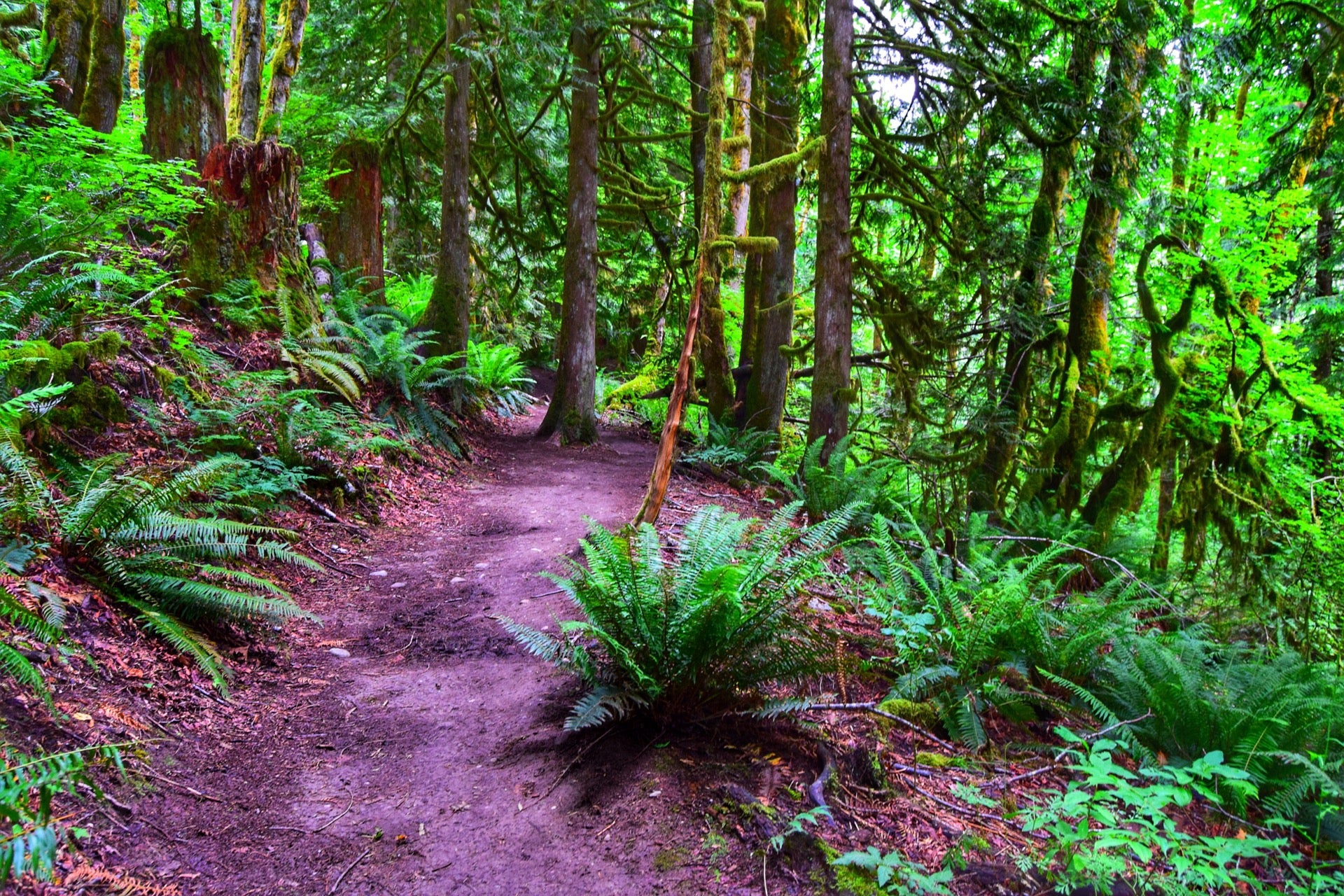 Rattlesnake Lake Recreation Area, Cedar Falls Rd SE, North Bend, WA