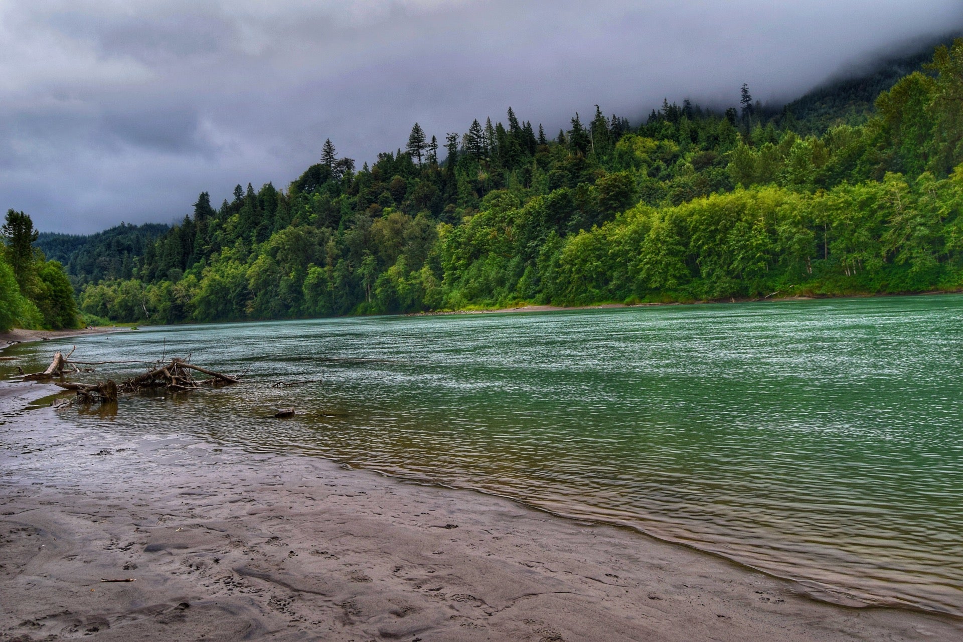 10+ Skagit River Woods