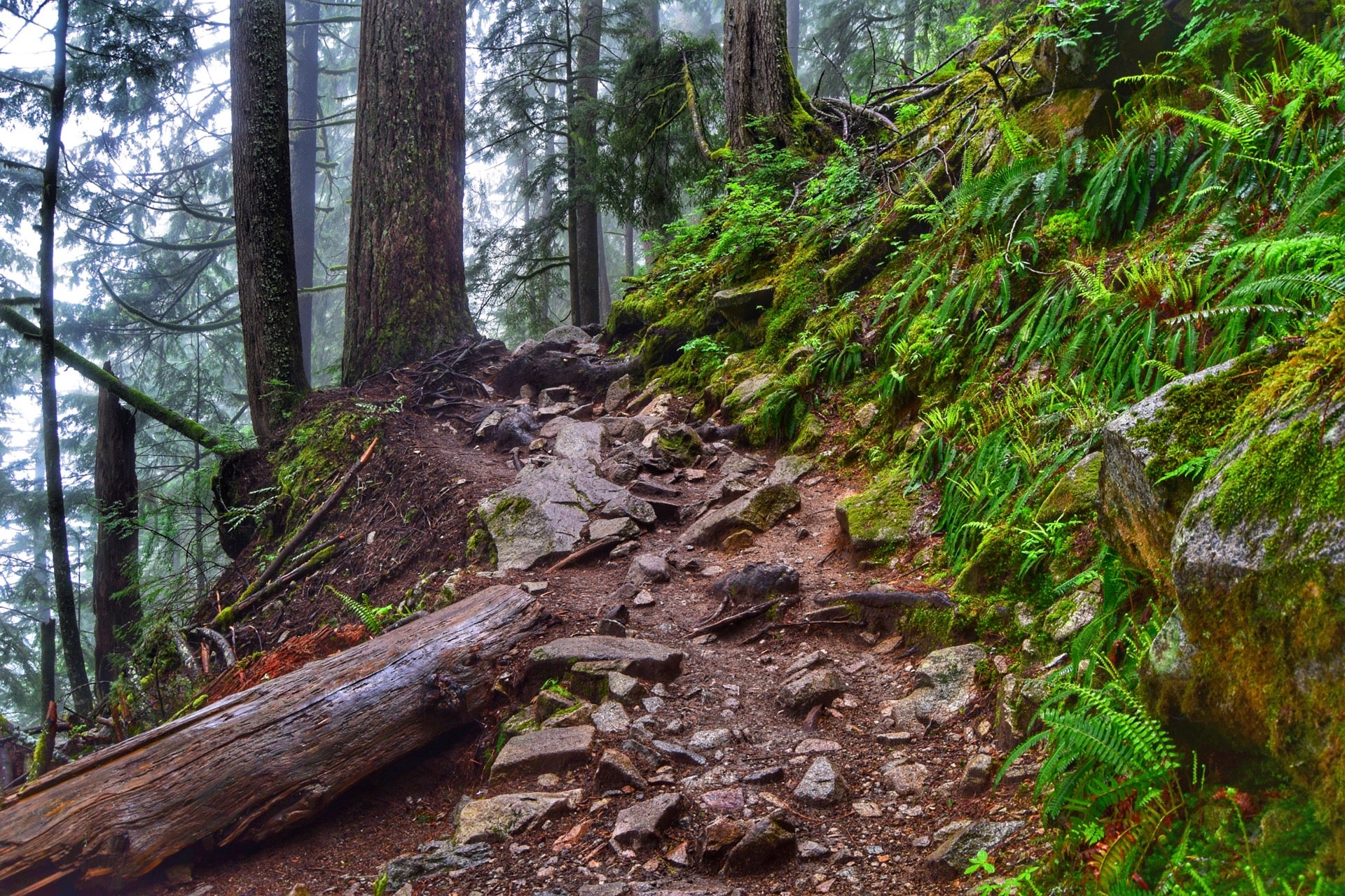 Bandera Mountain, Mason Lake Trailhead, North Bend, WA - MapQuest