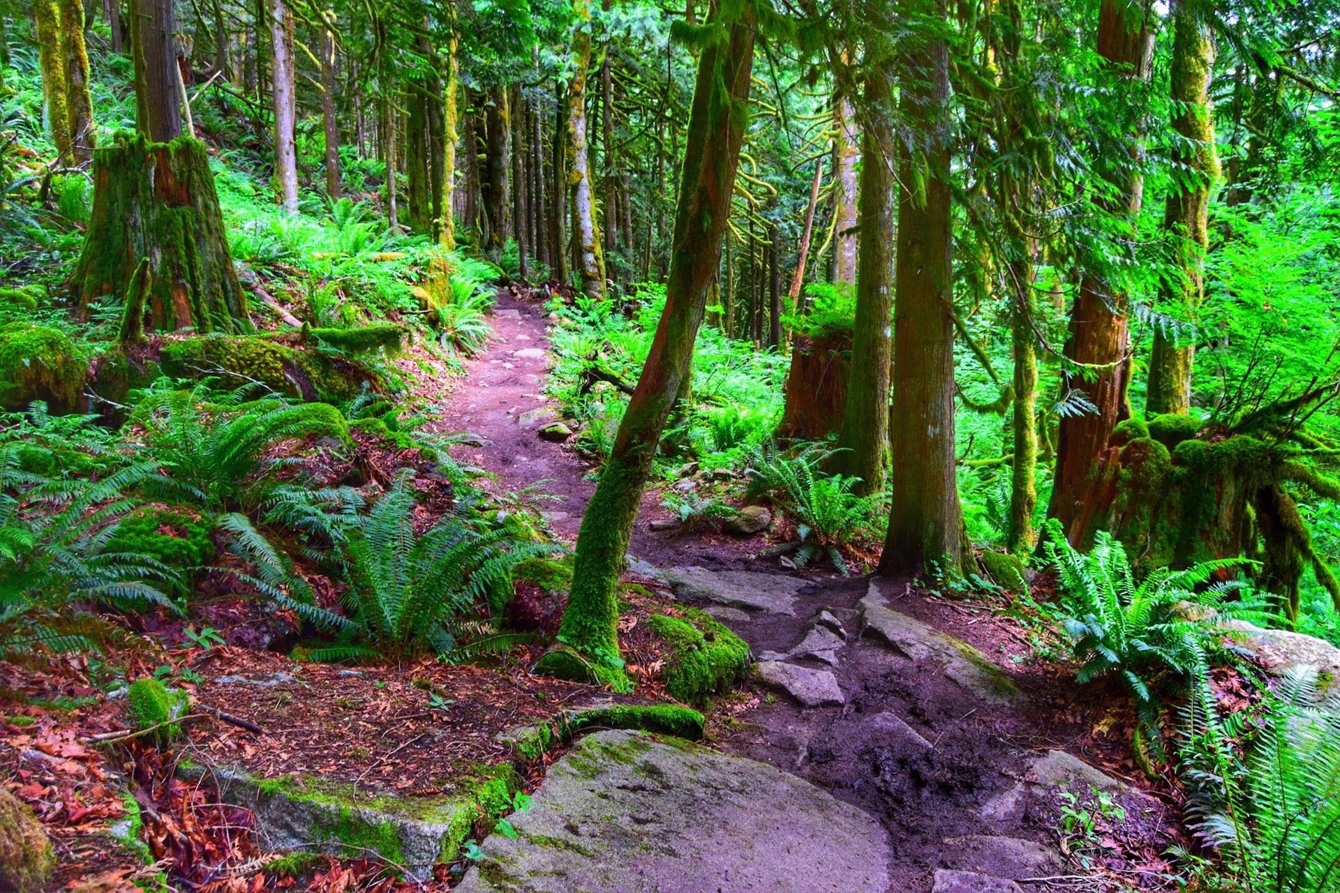 Rattlesnake Lake Recreation Area, Cedar Falls Rd SE, North Bend, WA