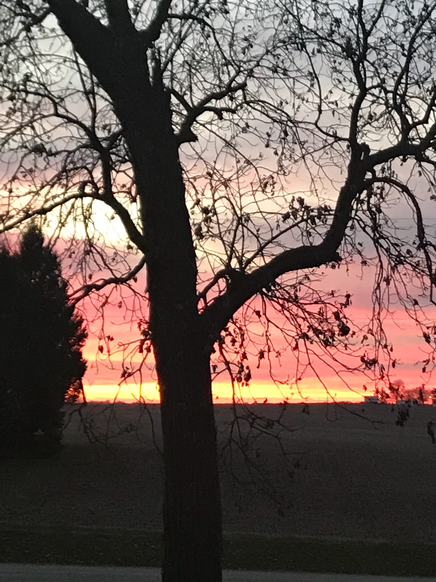 Weldon Springs State Park, 4734 Weldon Springs Rd, Clinton, IL