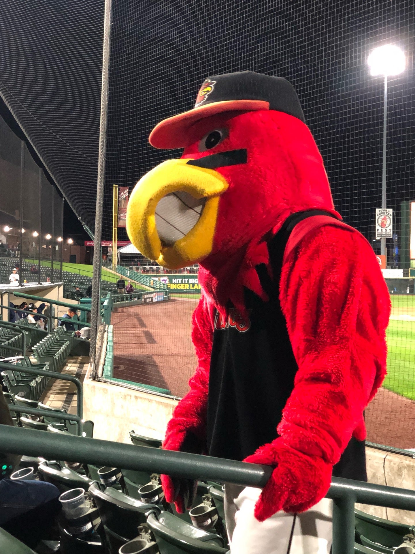 Rochester Red Wings 1 Morrie Silver Way Rochester NY Antiques 
