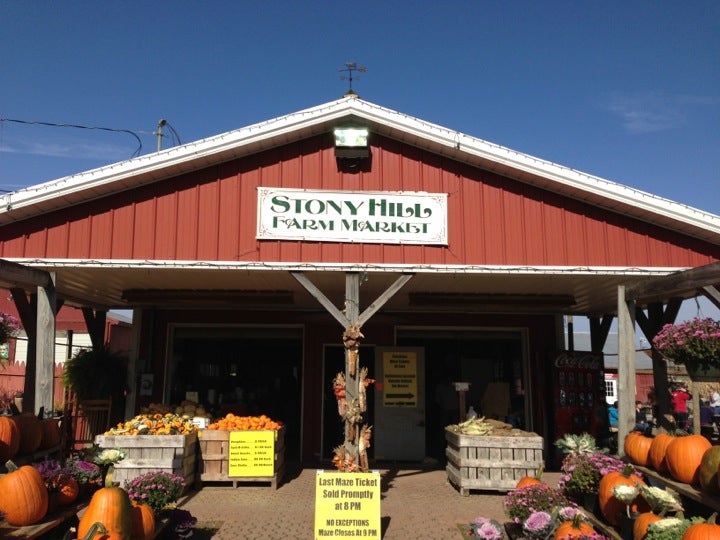 Chester, NJ Map & Directions MapQuest