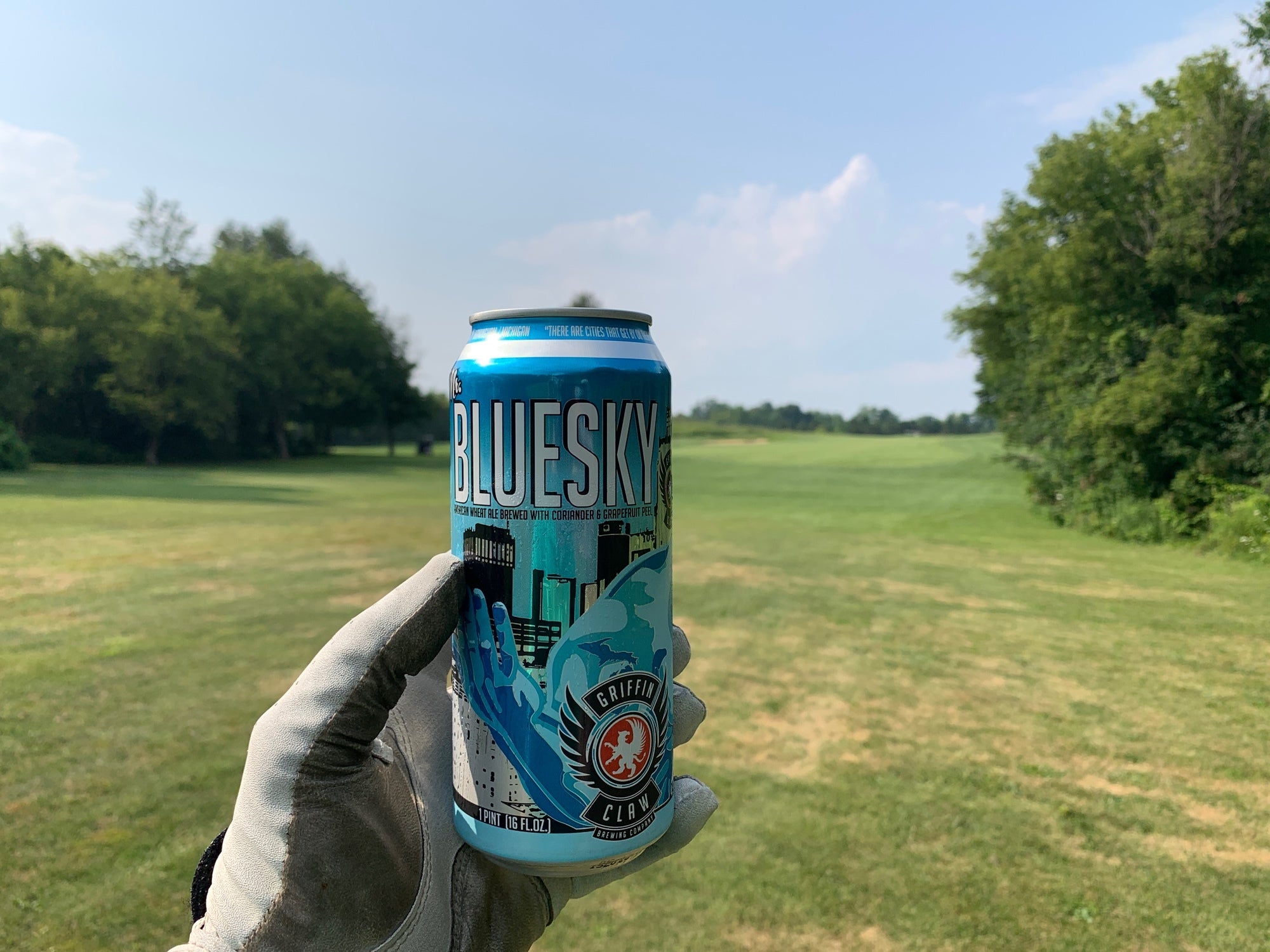 Lyon Oaks Golf Course, 52251 Pontiac Trl, Wixom, MI, Golf Courses