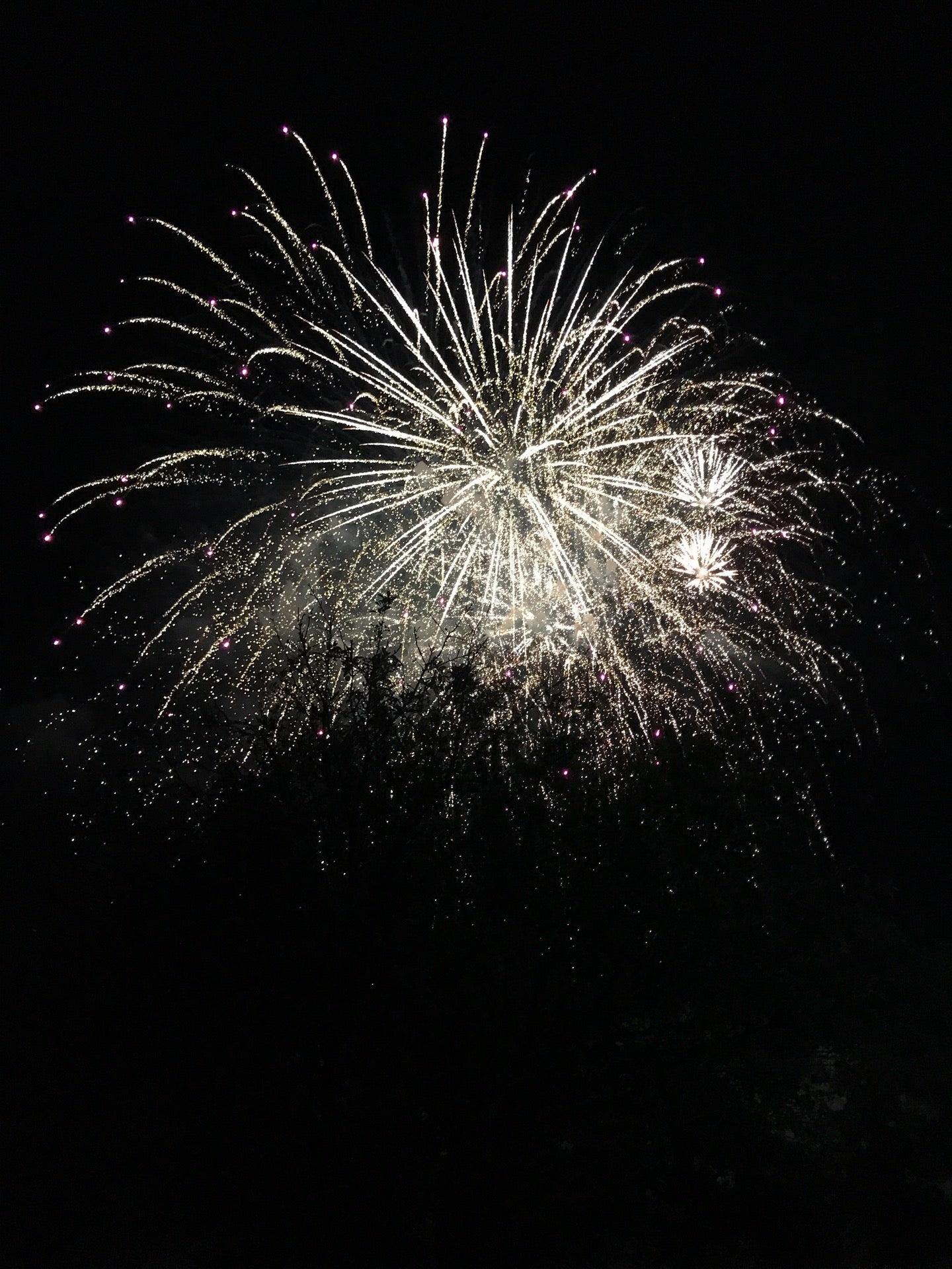 West Park, 1200 Foster Ave, Elyria, OH MapQuest