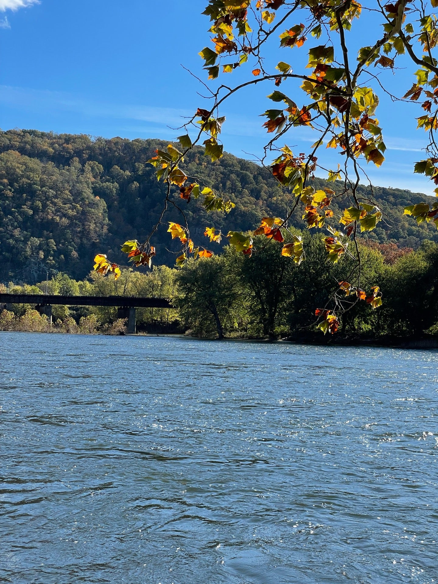 New Town Meadows Playground, 35 Tritapoe Pl, Lovettsville, VA, Parks