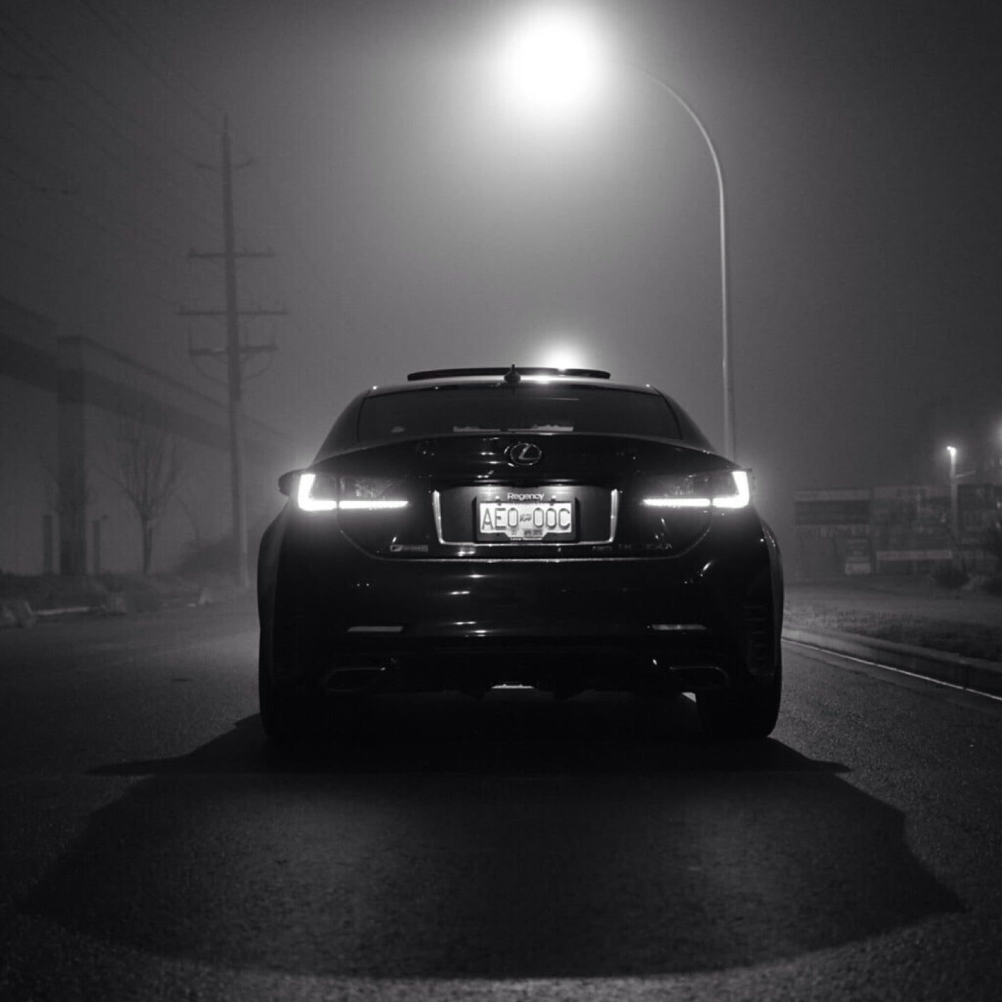 Santevia Water System