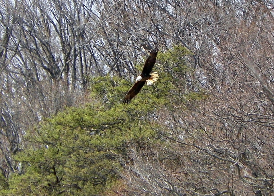 Abingdon, MD Map & Directions MapQuest