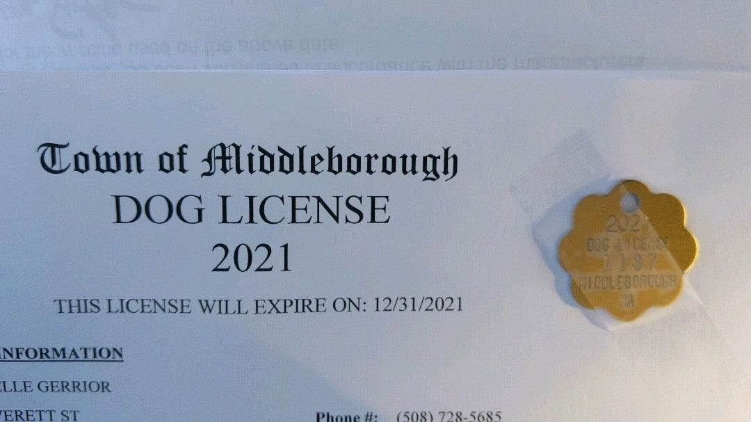 Middleboro Town Hall, 10 Nickerson Ave, Middleboro, MA, City Hall