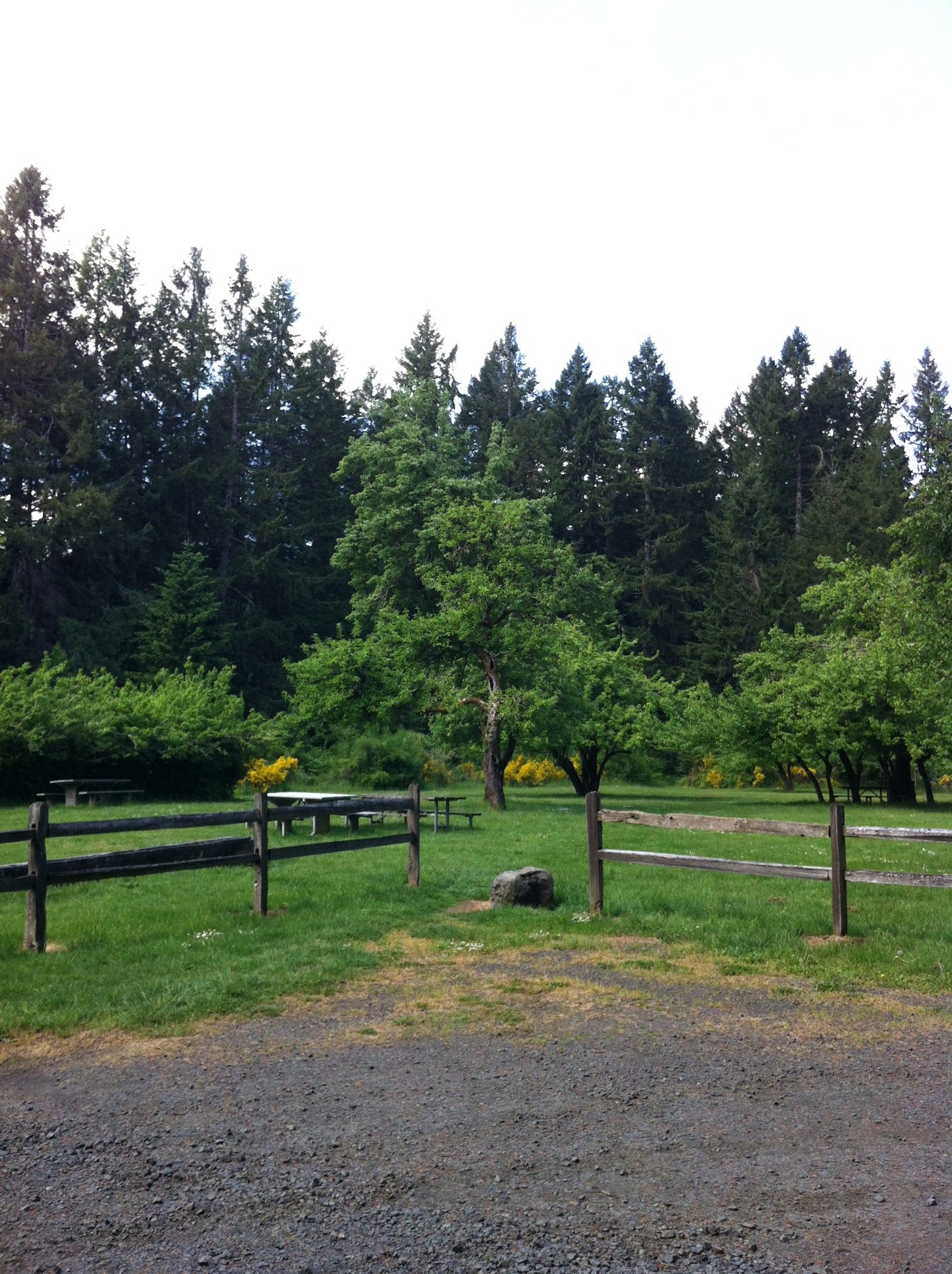 Millersylvania State Park, 12245 Tilley Rd S, Olympia, WA, Parks MapQuest