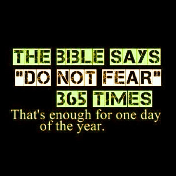 Immaculate Conception Church, 4671 Townline Rd, Suite 429, Ransomville