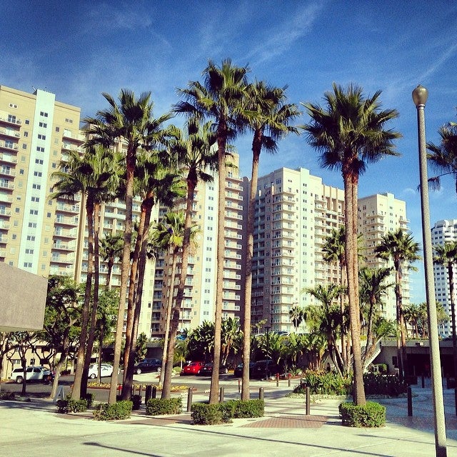 JVC U.S.A.  Long Beach CA