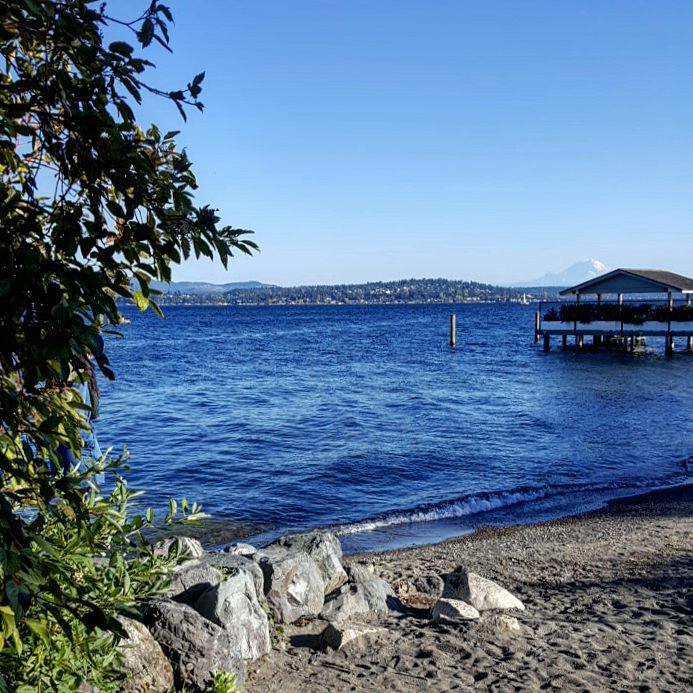 DENNY BLAINE PARK - 13 Photos & 39 Reviews - 200 Lake Washington Blvd E,  Seattle, Washington - Beaches - Phone Number - Yelp