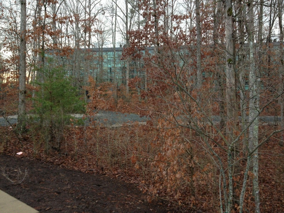 CarMax Home Office, 12800 Tuckahoe Creek Pkwy, Richmond, VA