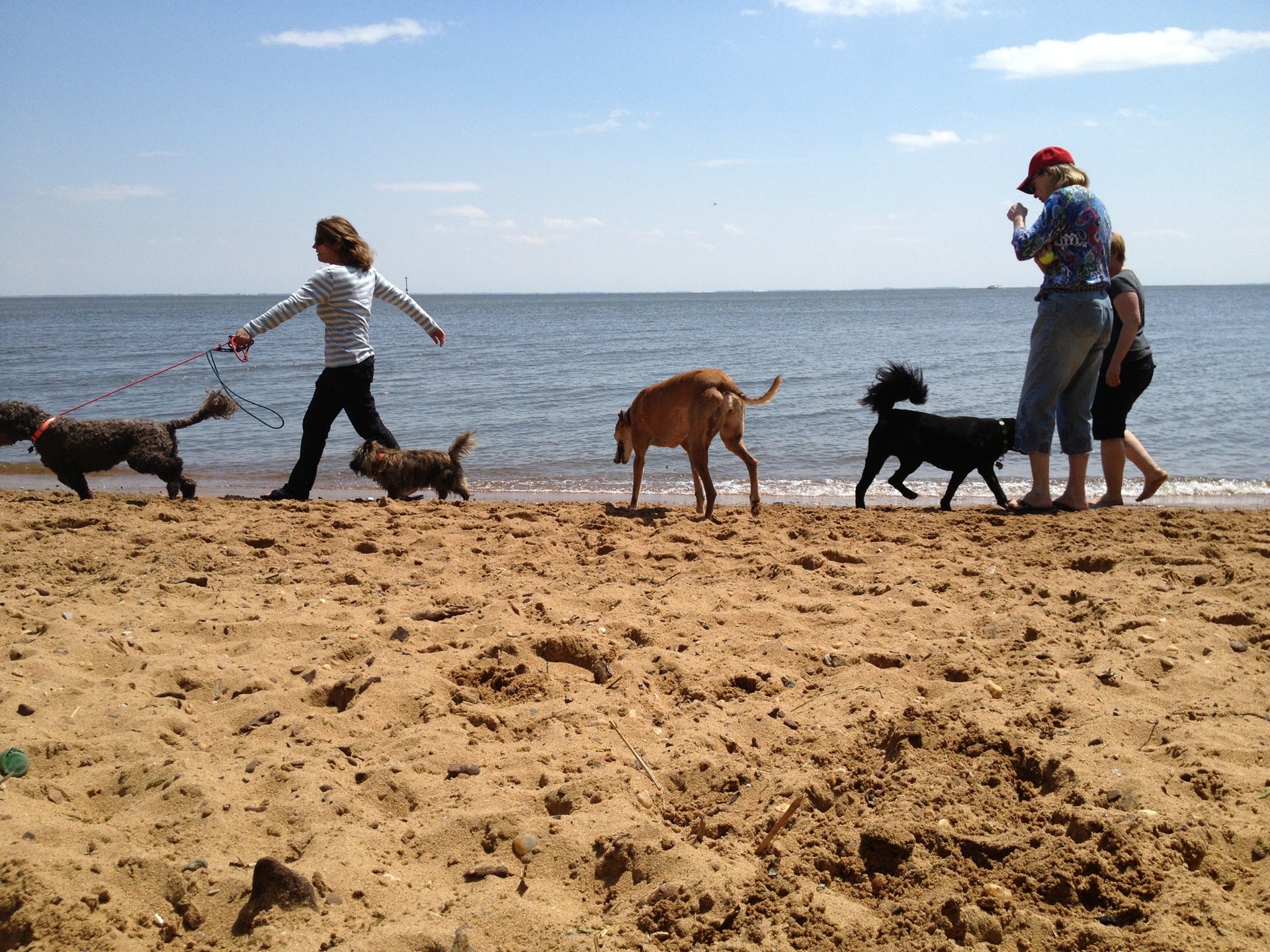 Downs Park and Dog Beach, 8311 John Downs Loop, Pasadena, MD, Parks MapQuest