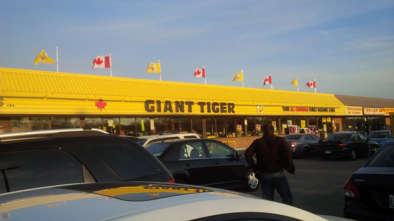 GIANT TIGER  Centre On Barton