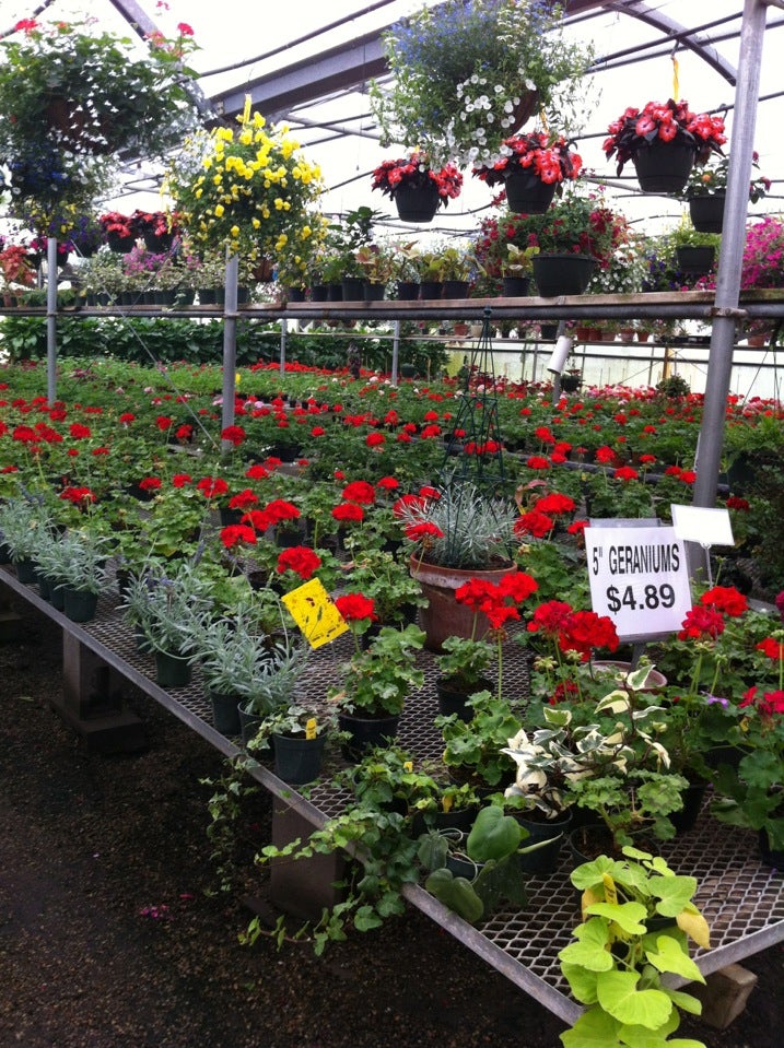 Vandersalms Flowers Kalamazoo Mi Best Flower Site