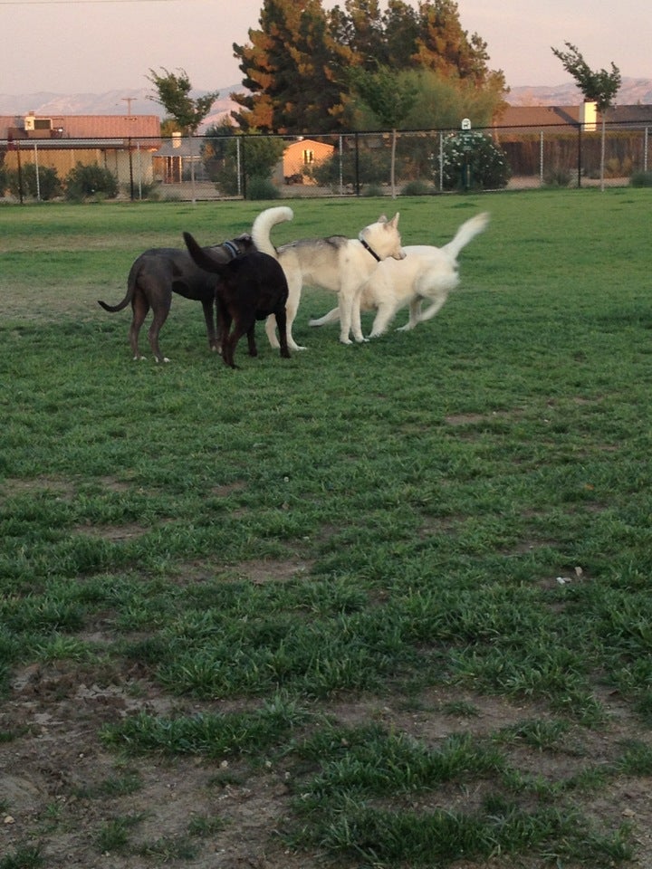 Apple Valley Dog Park, 14999 Dale Evans Pkwy, Apple Valley, CA, Parks