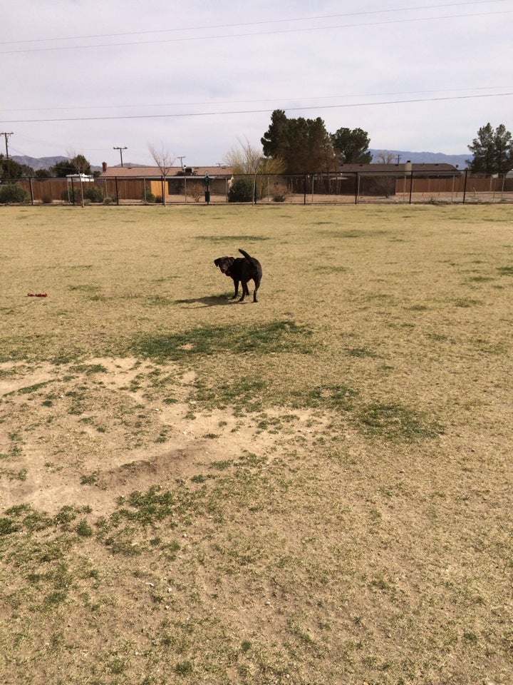 Apple Valley Dog Park, 14999 Dale Evans Pkwy, Apple Valley, CA, Parks