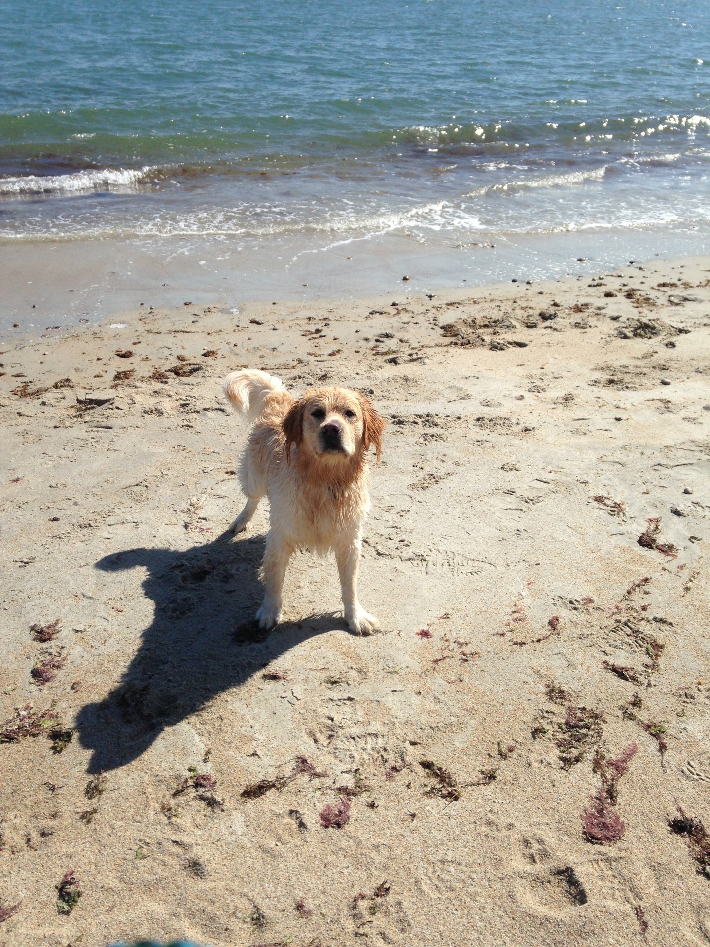 Round Hill Beach, South Dartmouth, MA - MapQuest