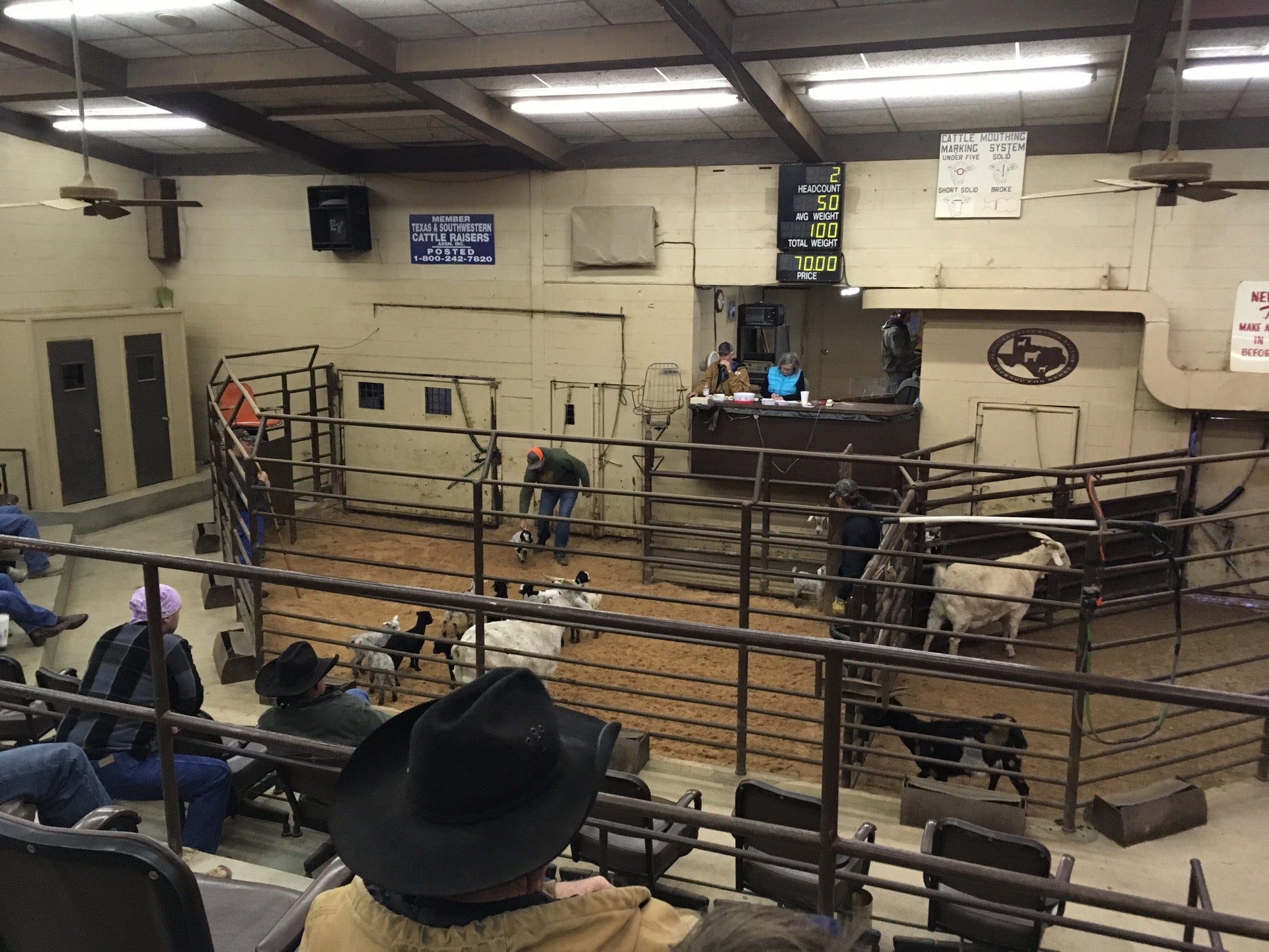 Coleman Livestock Auction Commission Co, 1131 N Bell St, San Angelo, TX