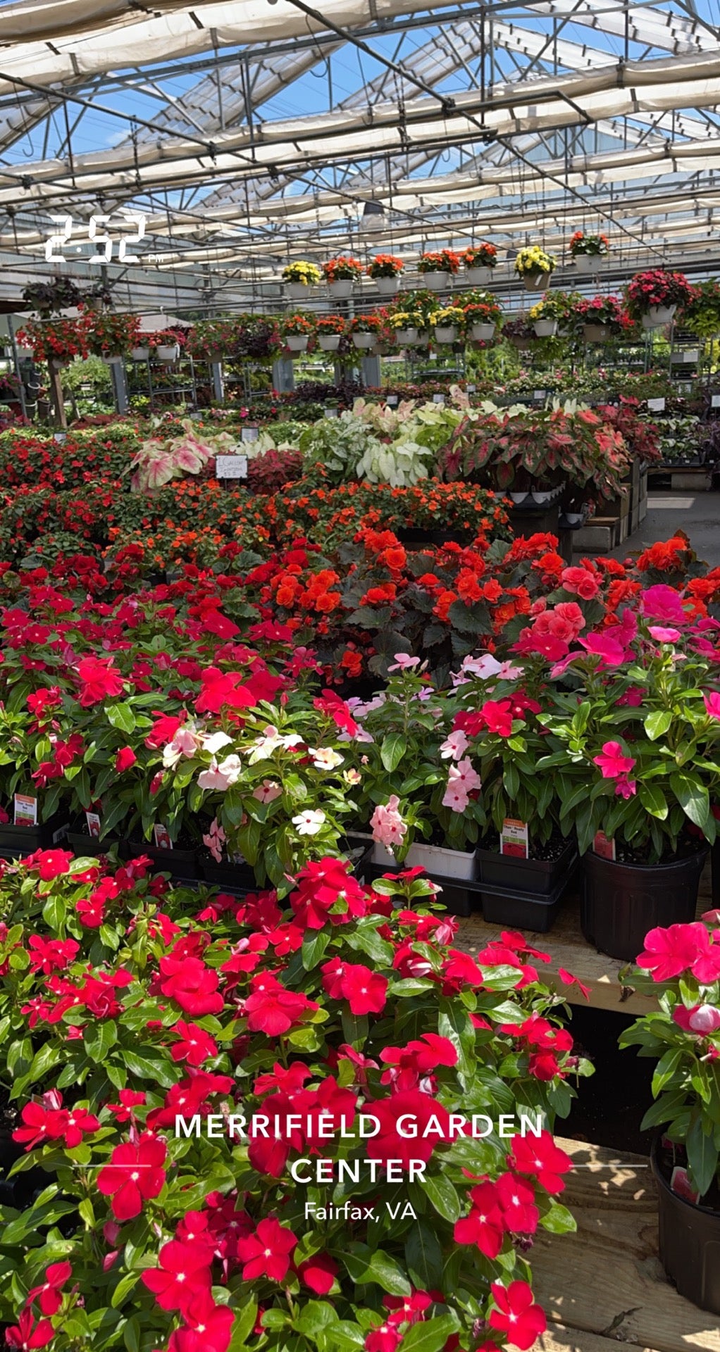Merrifield Garden Center Easter Hours | Fasci Garden