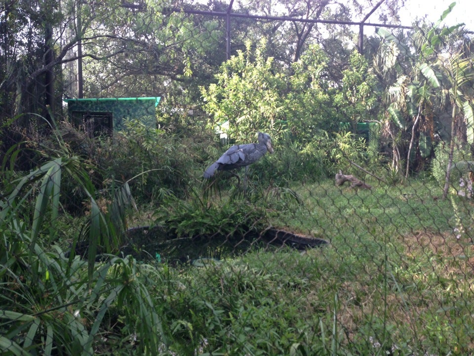 Reptile House, 6200 Hermann Park Dr, Houston, TX MapQuest