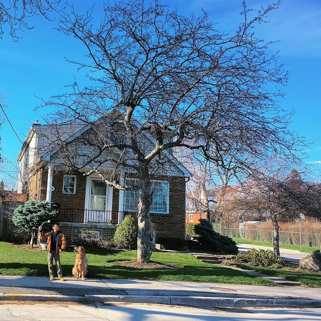 Beaumont Park Beaumont Road Toronto ON MapQuest