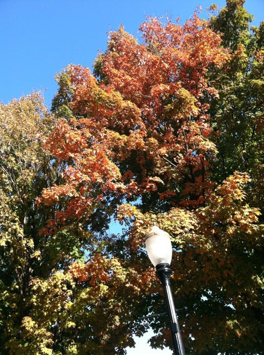 Dubuque, IA Map & Directions MapQuest