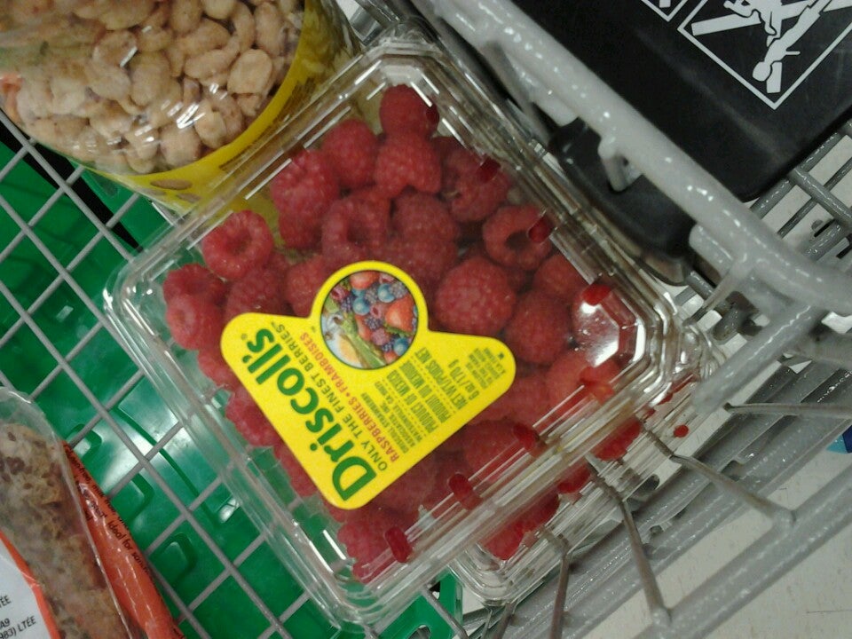 Theodore-Pringle Optical in Real