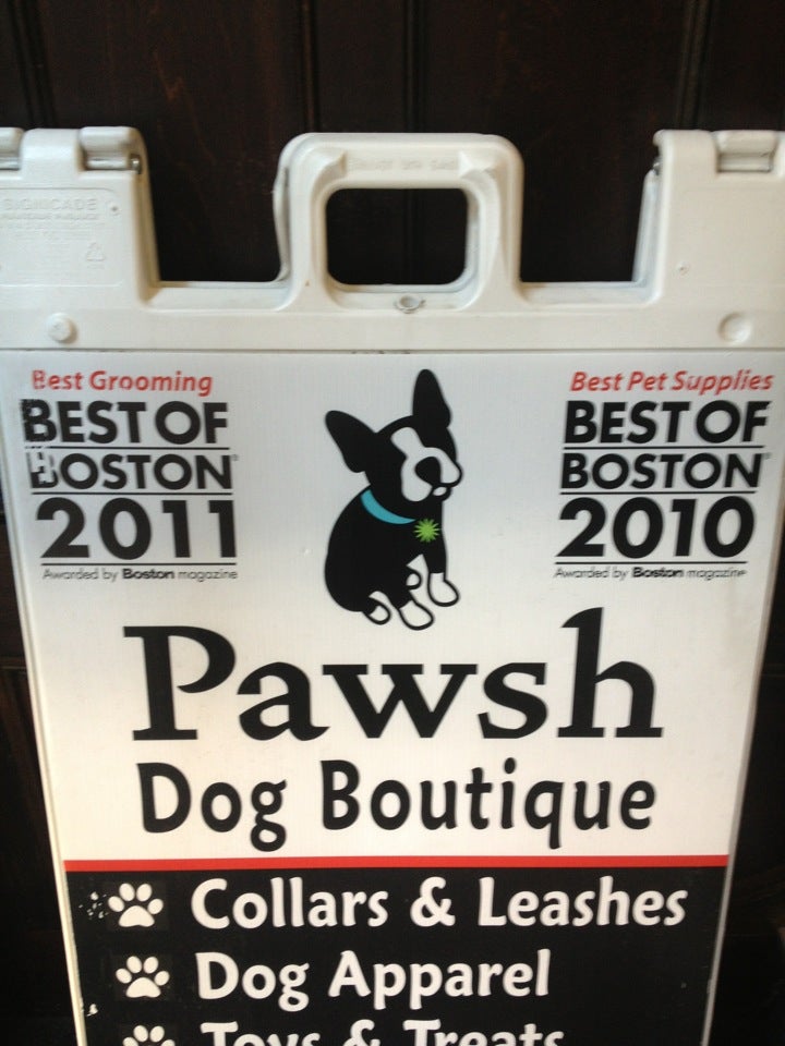 Pawsh Dog Boutique 31 Gloucester St Steps From Newbury Street