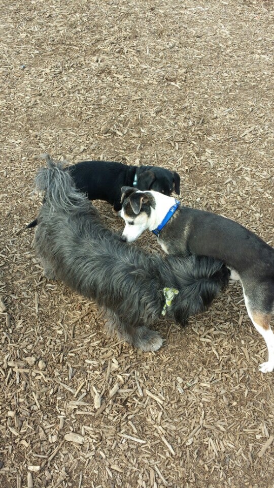 Fossil Creek Dog Park, Fort Collins, CO, Parks MapQuest