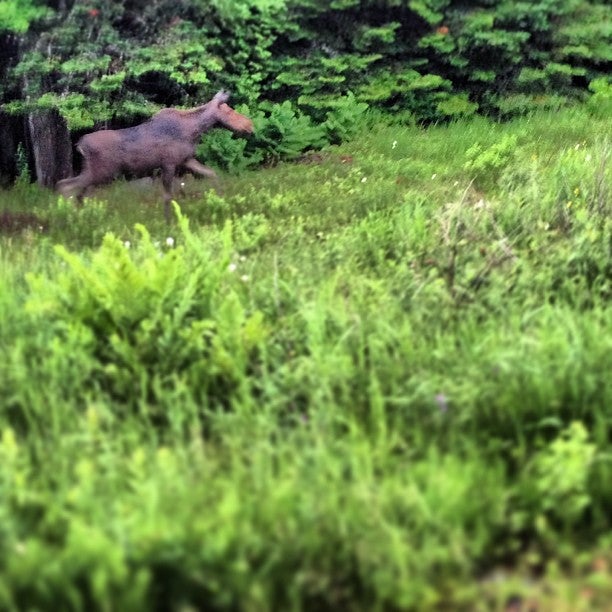 Eustis, ME Map & Directions MapQuest