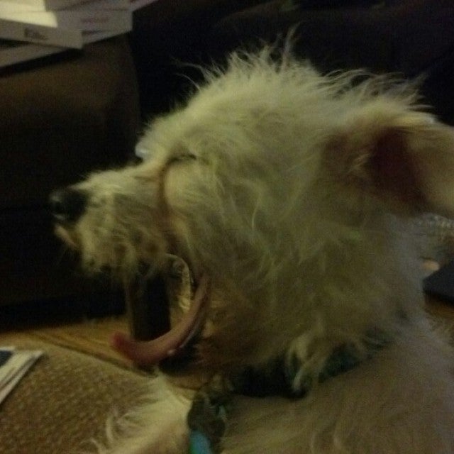 Leechburg, PA Map & Directions MapQuest