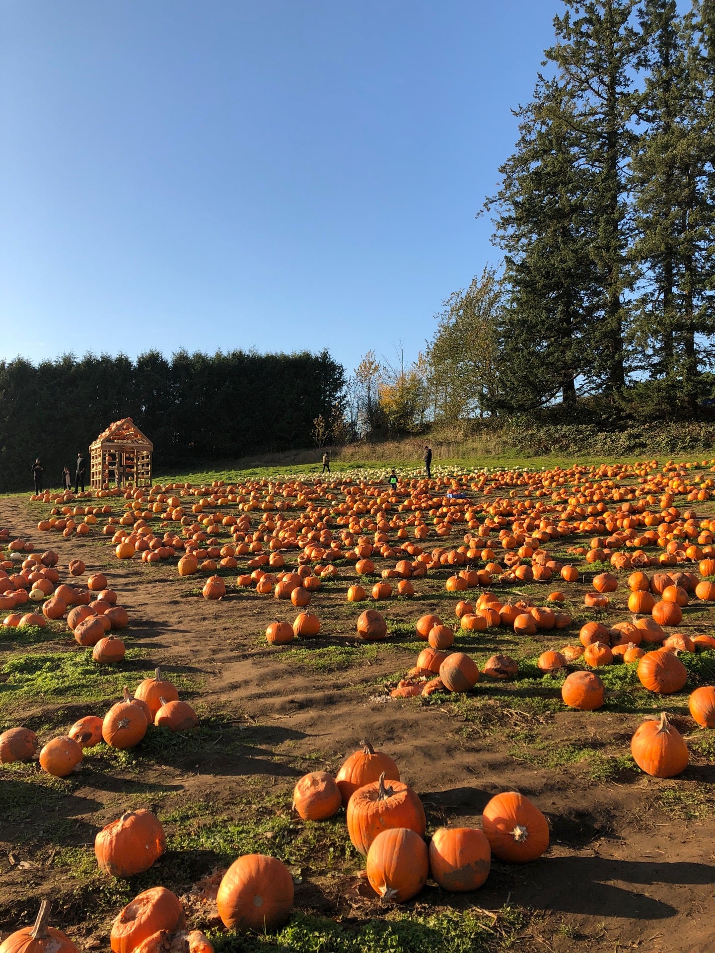 Maan Farms, 790 McKenzie Rd, Abbotsford, BC, Grocery Stores MapQuest