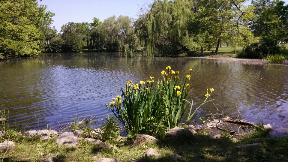 Duck Pond, Duckpond Dr, Blacksburg, VA MapQuest